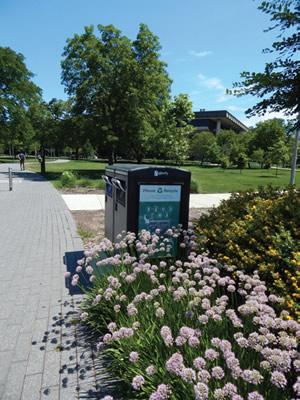 campus outdoor space