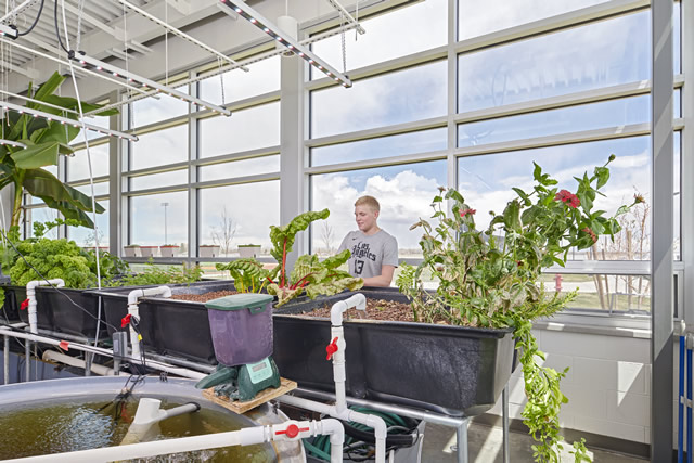 Del Norte K-12 aquaponics