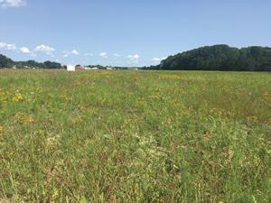 20 Acre Classroom