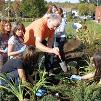 Greening Schoolyards