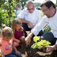 School Gardens