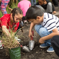 children digging in garden